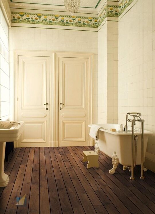 quickstep ciemny.JPG