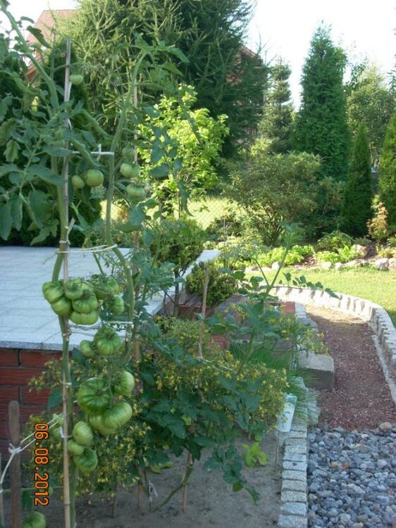 sierpień2012 016a.jpg