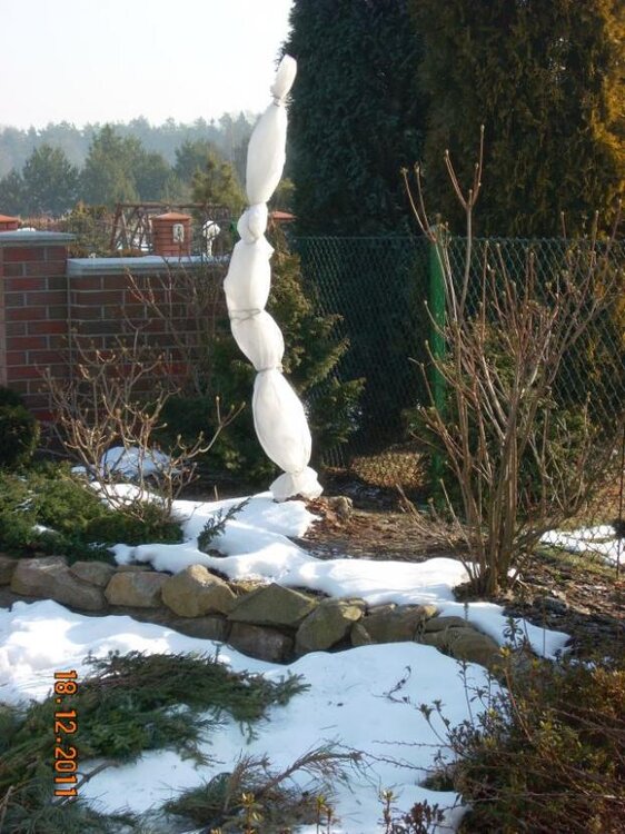 styczeń2012 007a.jpg