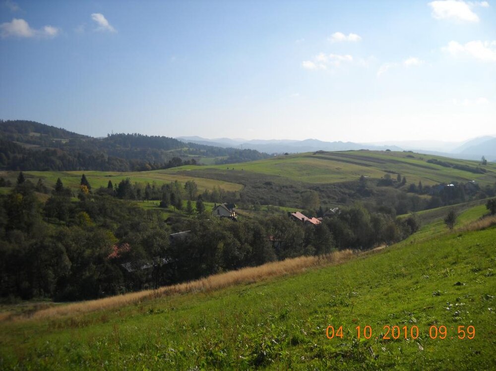 widok11.thumb.jpg.8a389ed7ad220bd436991b16aae24194.jpg