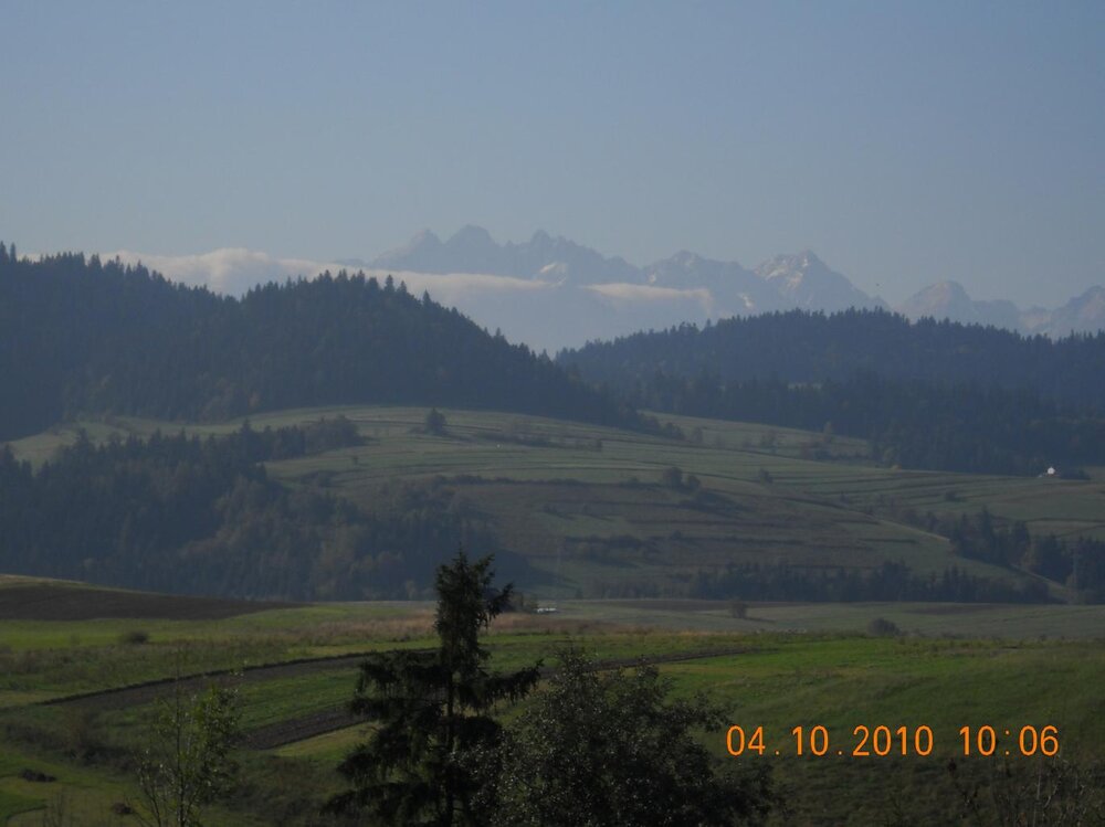 widok44.thumb.jpg.1098d5494dd893f640ccac7f9e696243.jpg