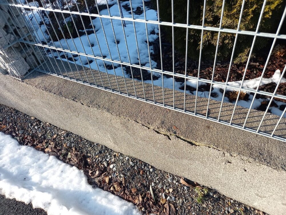 WhatsApp Image 2025-02-07 at 12.24.44.jpeg