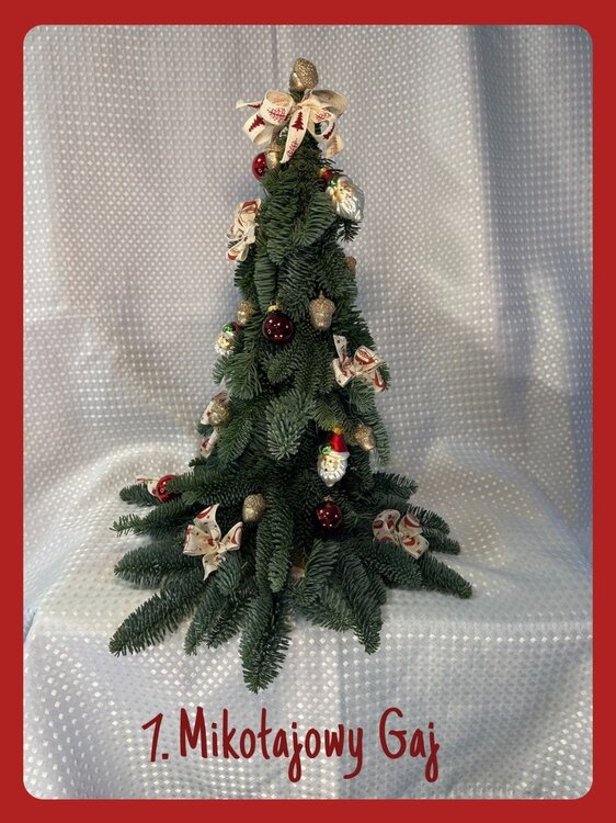 1.Mikołajowy gaj.jpg